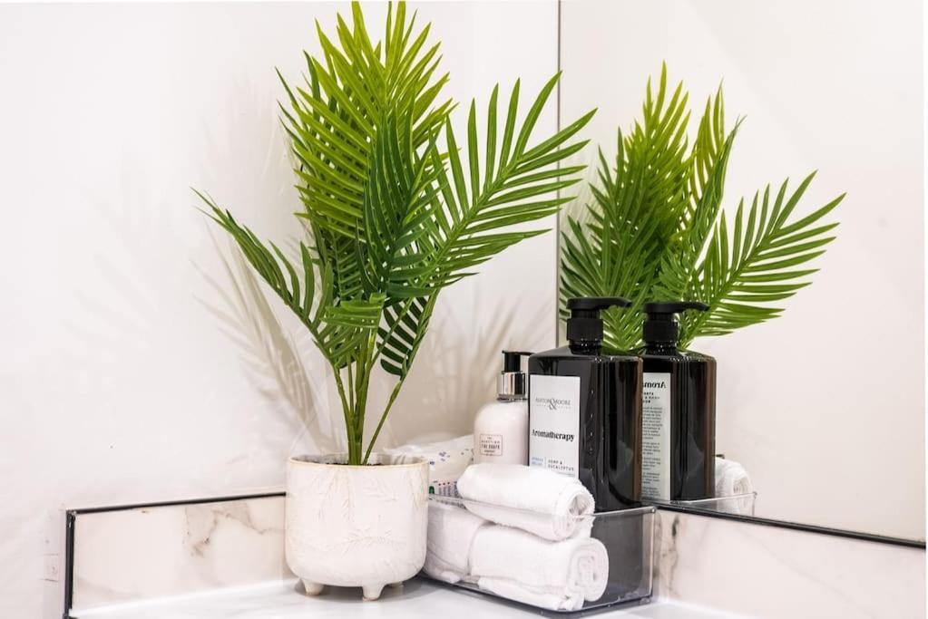 Five Star Boutique Studio Flat In ロンドン エクステリア 写真
